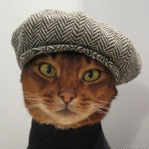 Meet your Posher, Megg